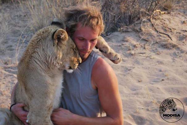 Ο φωτογράφος που έζησε με τα λιοντάρια στην Αφρική (9)