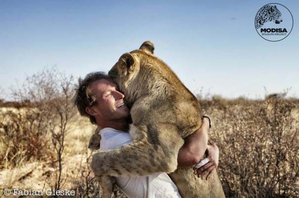 Ο φωτογράφος που έζησε με τα λιοντάρια στην Αφρική (13)