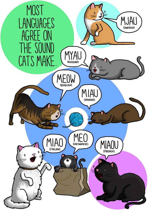 Πως ακούγονται τα ζώα σε διαφορετικές γλώσσες (2)