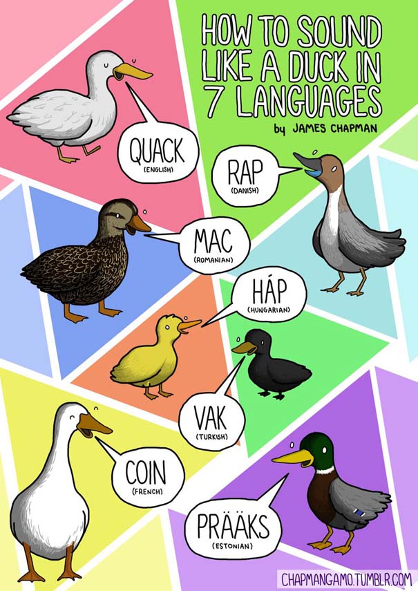 Πως ακούγονται τα ζώα σε διαφορετικές γλώσσες (5)