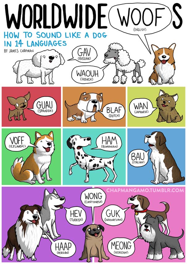 Πως ακούγονται τα ζώα σε διαφορετικές γλώσσες (1)