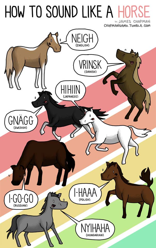 Πως ακούγονται τα ζώα σε διαφορετικές γλώσσες (8)