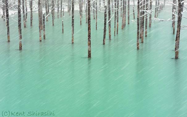 Η υπέροχη μπλε λίμνη στην Ιαπωνία που αλλάζει χρώμα (4)