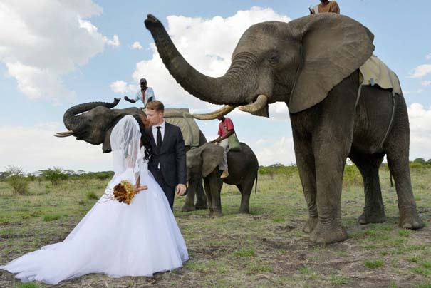 Ένας απίθανος γάμος στη Ζιμπάμπουε (1)