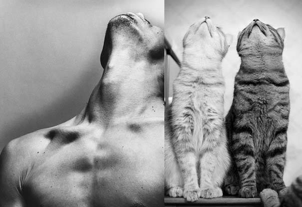 Άνδρες και γάτες στις ίδιες ξεκαρδιστικές πόζες (10)
