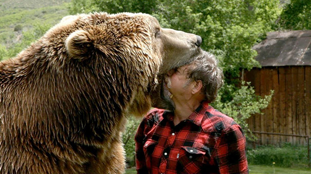 Παλεύοντας με μια αρκούδα γκρίζλι
