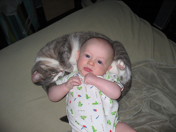 Όταν οι γάτες κάνουν babysitting σε μωρά