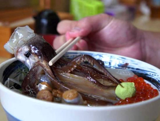 Παραδοσιακό πιάτο στην Ιαπωνία με καλαμάρι που χορεύει