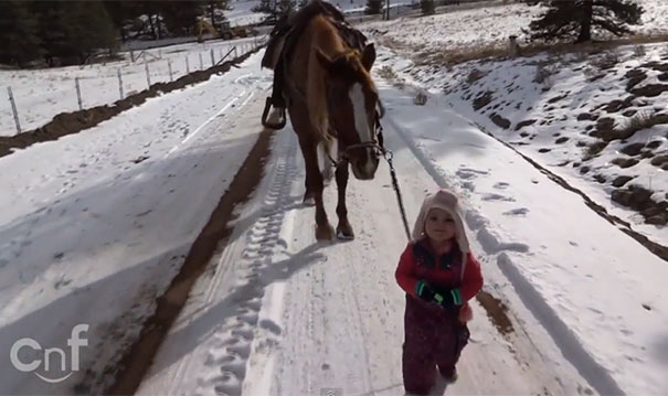 Κοριτσάκι έβγαλε για βόλτα το πιο φιλικό άλογο στον κόσμο
