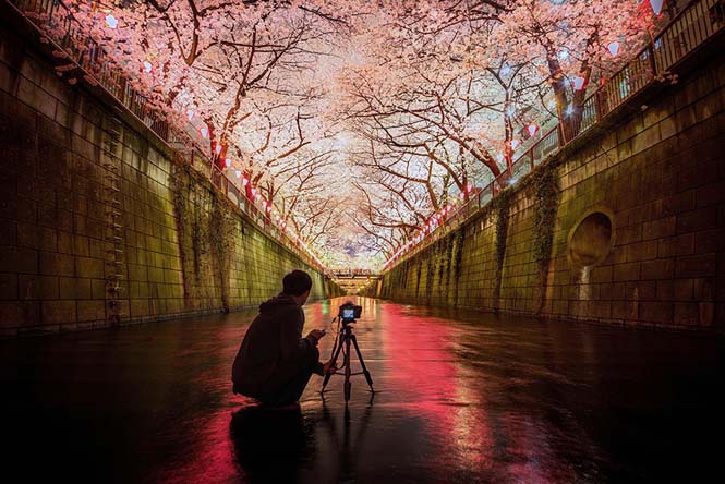 Οι ανθισμένες κερασιές της Ιαπωνίας είναι ένα μοναδικό θέαμα που πρέπει να δεις (7)