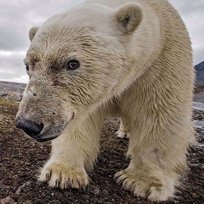Εκπληκτικές φωτογραφίες του National Geographic στο Instagram (25)