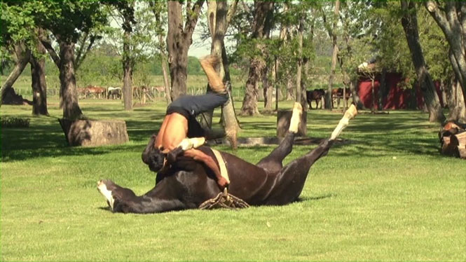 Yoga με άλογο