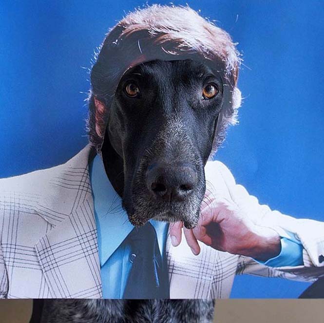 Απίστευτες φωτογραφίες με πρωταγωνιστή έναν σκύλο (29)