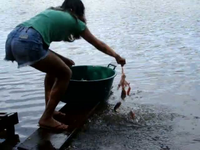 Έτσι ψαρεύουν Πιράνχας στη Βραζιλία