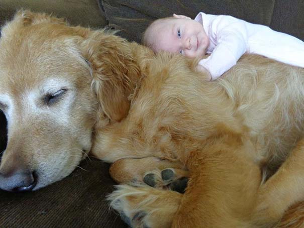 Μωρά με τον μεγάλο σκύλο τους (6)