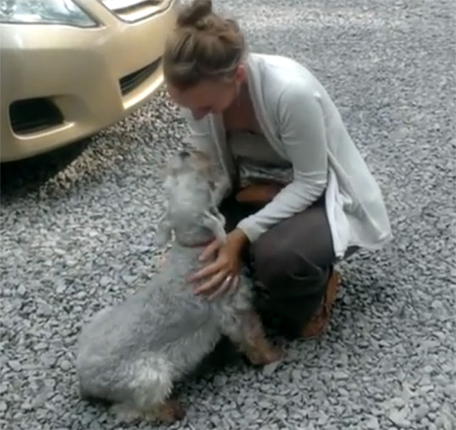 Σκύλος λιποθύμησε από την χαρά του όταν ένα μέλος της οικογένειας επέστρεψε μετά από δύο χρόνια
