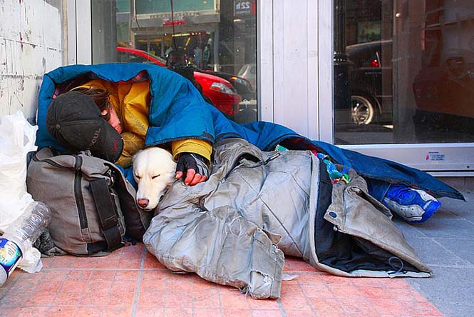 Σκύλοι με άστεγους ιδιοκτήτες (2)