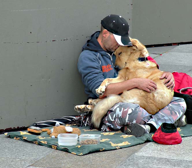 Σκύλοι με άστεγους ιδιοκτήτες (3)