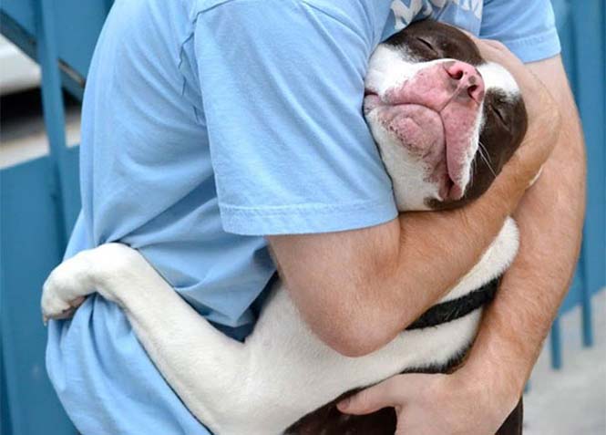 Υπέροχες φωτογραφίες σκύλων που αγκαλιάζουν τον άνθρωπο τους (22)