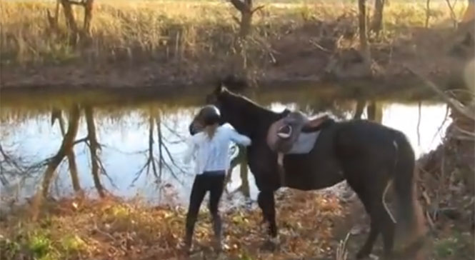 Άλογο συναντά νερό για πρώτη φορά