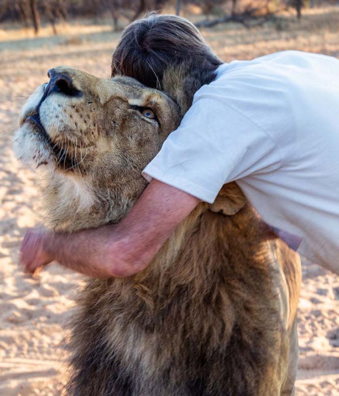 Άνδρας και λιοντάρι έχουν μια σπάνια φιλία (8)