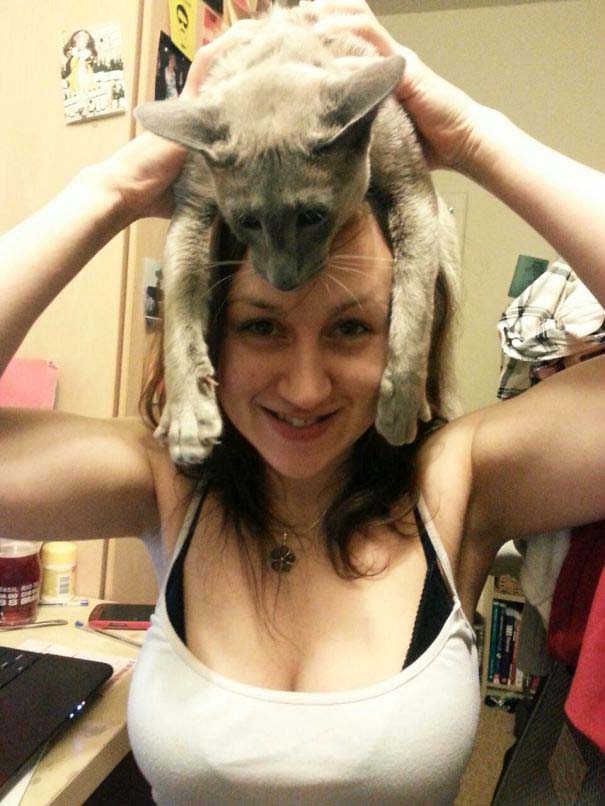 Άνθρωποι που φορούν γάτες για καπέλο (20)