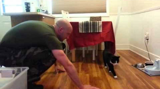 Γάτες υποδέχονται τους ιδιοκτήτες τους που γύρισαν από τον στρατό