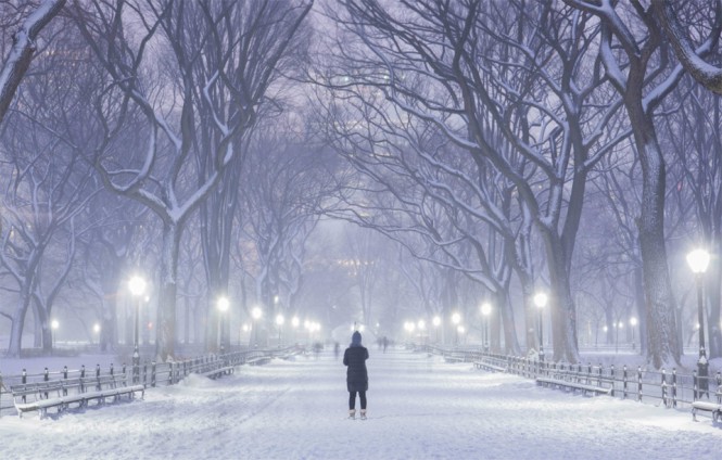 Χειμώνας στο Central Park της Νέας Υόρκης | Φωτογραφία της ημέρας