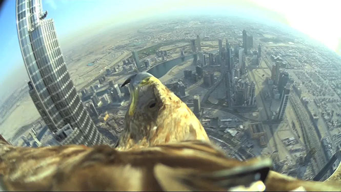 Το Dubai από την οπτική ενός αετού που απογειώνεται από το ψηλότερο κτήριο στον κόσμο