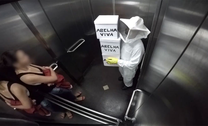 Φάρσα με μέλισσες δολοφόνους στο ασανσέρ