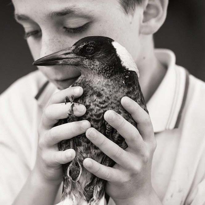 Penguin: Το πιο δημοφιλές πτηνό στο Instagram (18)