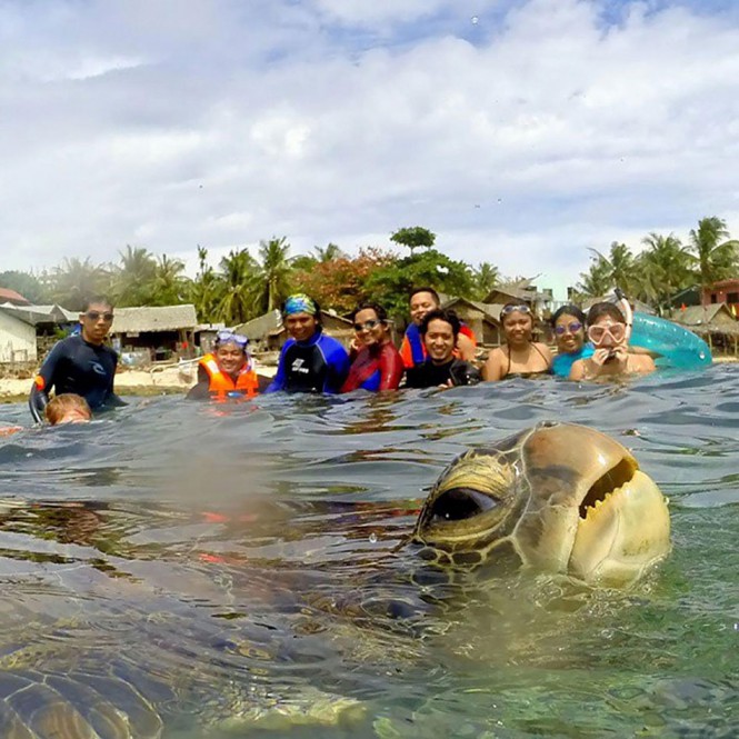 Photobombing από θαλάσσια χελώνα | Φωτογραφία της ημέρας
