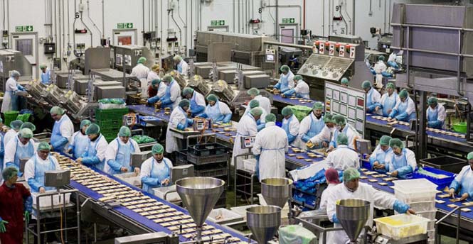 Εργοστάσιο που παράγει 3 εκατομμύρια σάντουιτς την εβδομάδα (1)
