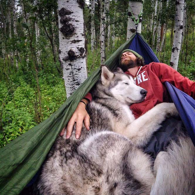 Ένας άνδρας και το wolfdog του σε επικές περιπέτειες (1)