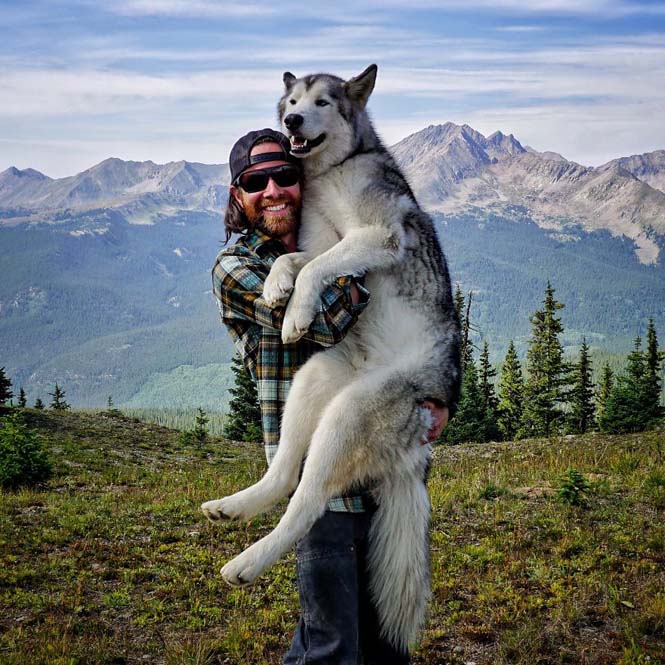 Ένας άνδρας και το wolfdog του σε επικές περιπέτειες (5)