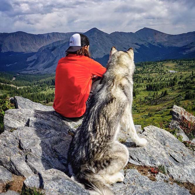 Ένας άνδρας και το wolfdog του σε επικές περιπέτειες (18)