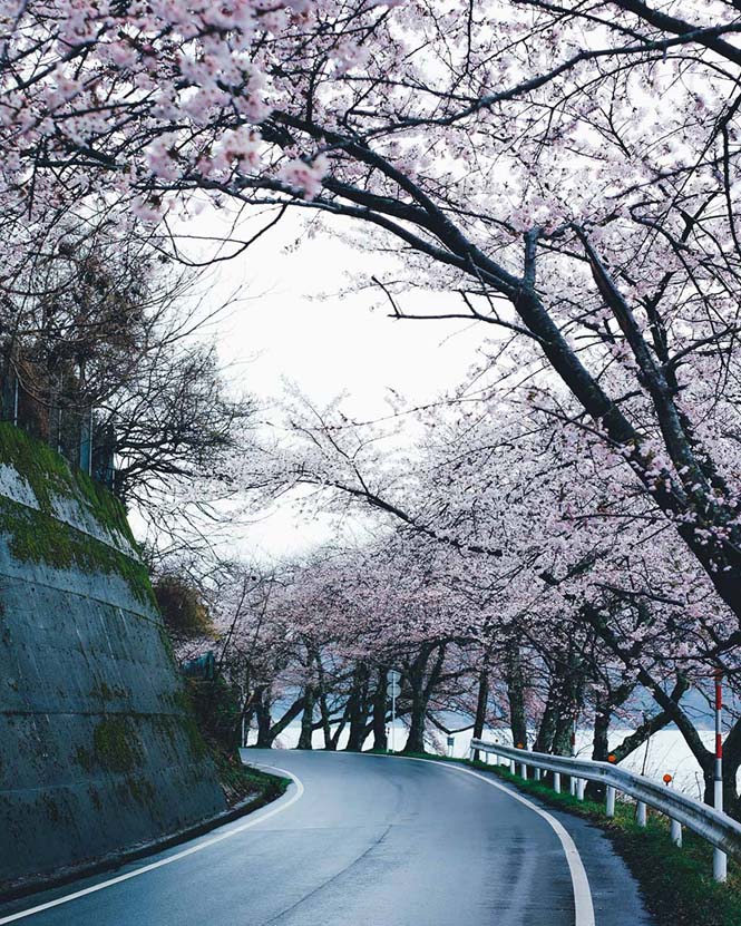 Φωτογράφος απαθανάτισε την εντυπωσιακή ομορφιά της καθημερινής ζωής στην Ιαπωνία (7)
