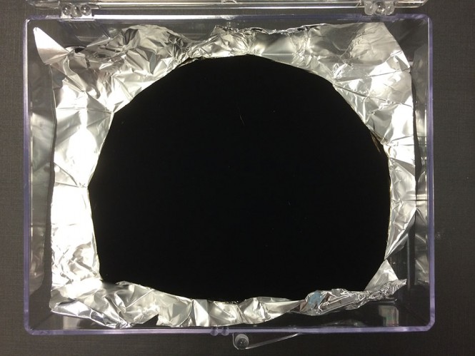 Το πιο μαύρο υλικό στον κόσμο | Φωτογραφία της ημέρας