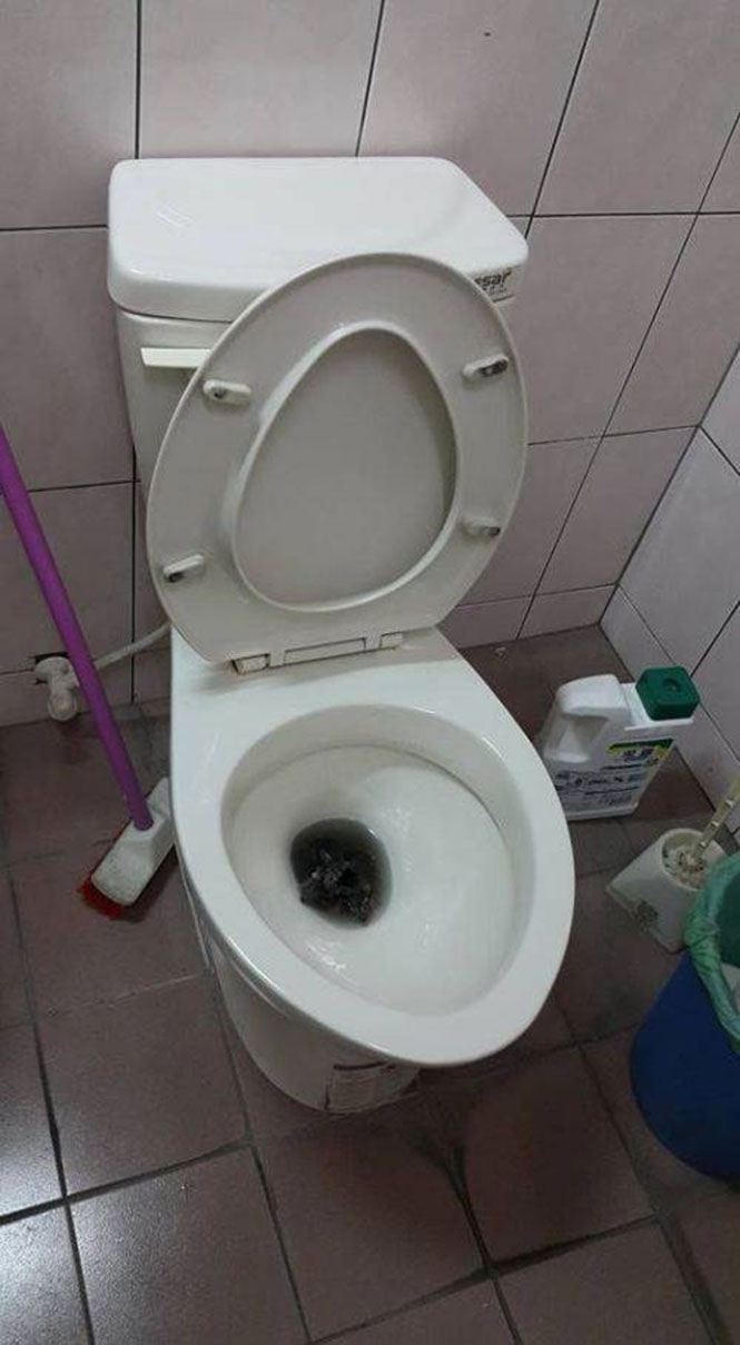 Αυτό δεν είναι κάτι που θα ήθελες να βρεις στην τουαλέτα σου (2)