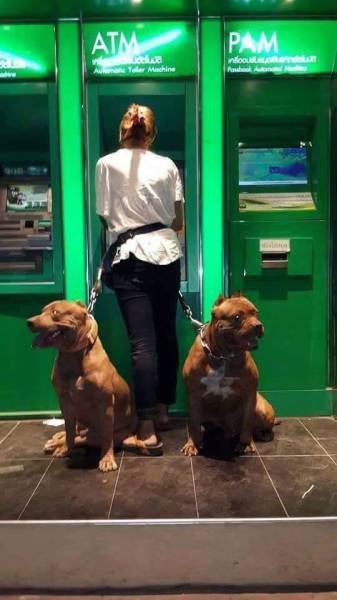 Πιο ασφαλής ανάληψη από ATM, δεν γίνεται... | Φωτογραφία της ημέρας