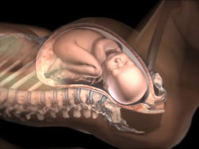Πώς προσαρμόζεται το σώμα της γυναίκας για την γέννα;