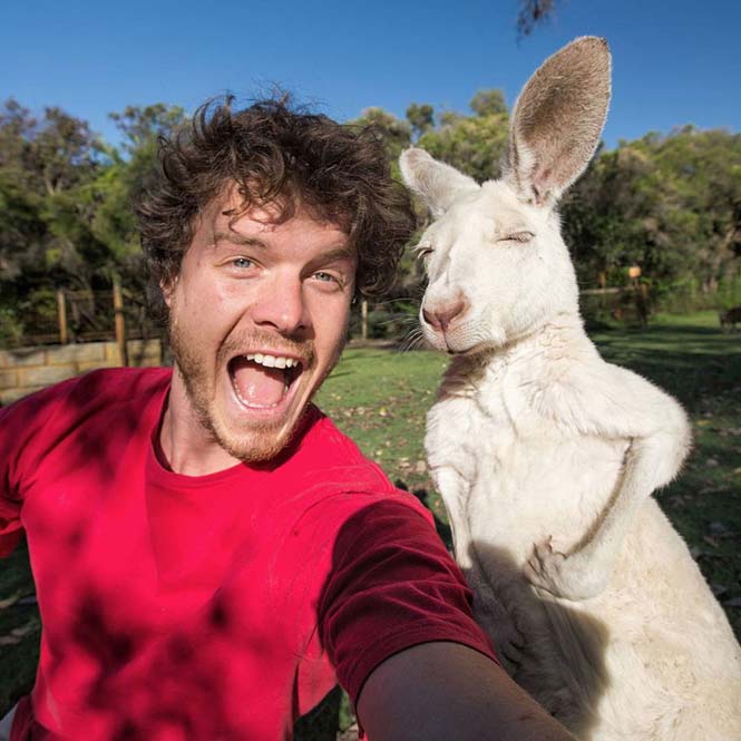 Ο Allan Dixon ειδικεύεται στις αστείες selfies με ζώα (4)