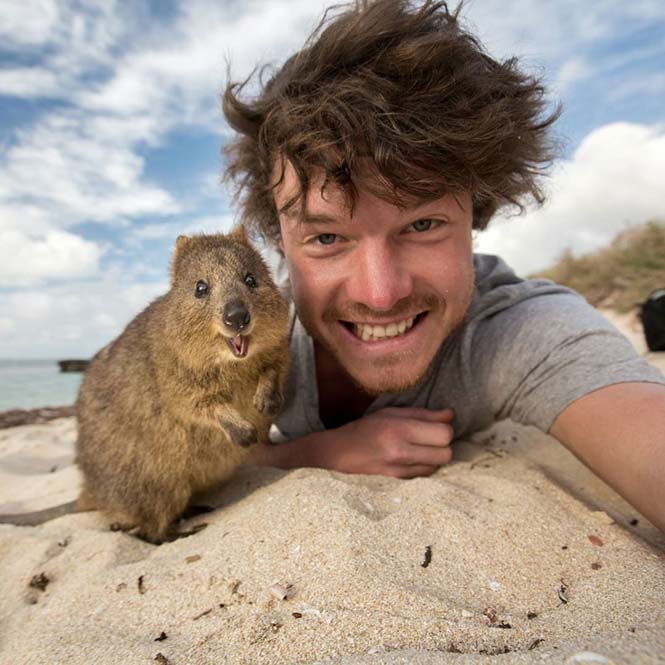 Ο Allan Dixon ειδικεύεται στις αστείες selfies με ζώα (6)