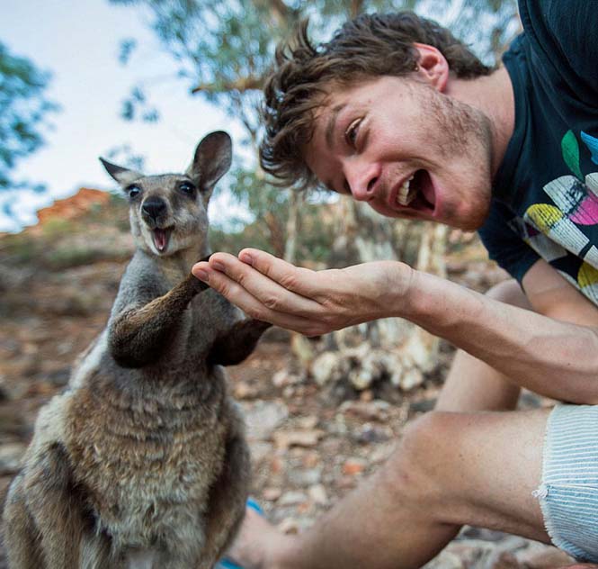 Ο Allan Dixon ειδικεύεται στις αστείες selfies με ζώα (10)