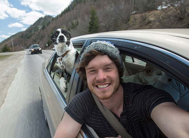 Ο Allan Dixon ειδικεύεται στις αστείες selfies με ζώα (11)