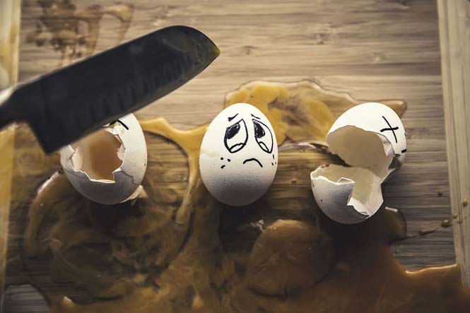 Αβγά μετατρέπονται σε αστείες φωτογραφίες (1)