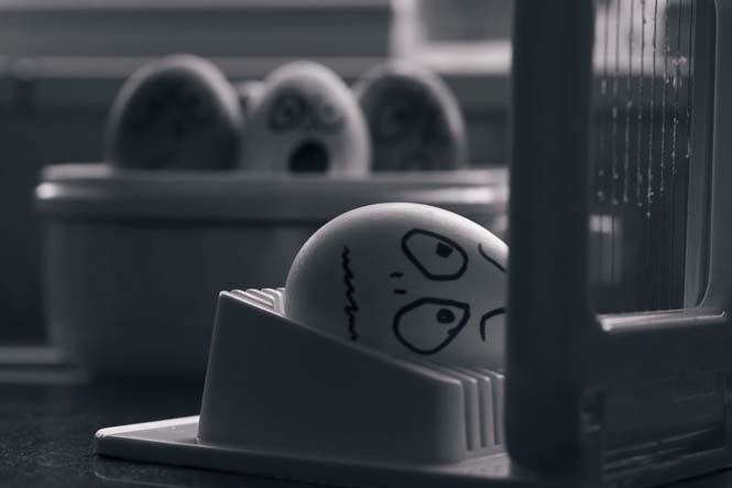 Αβγά μετατρέπονται σε αστείες φωτογραφίες (2)