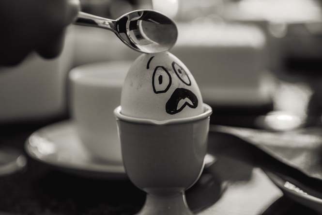 Αβγά μετατρέπονται σε αστείες φωτογραφίες (8)