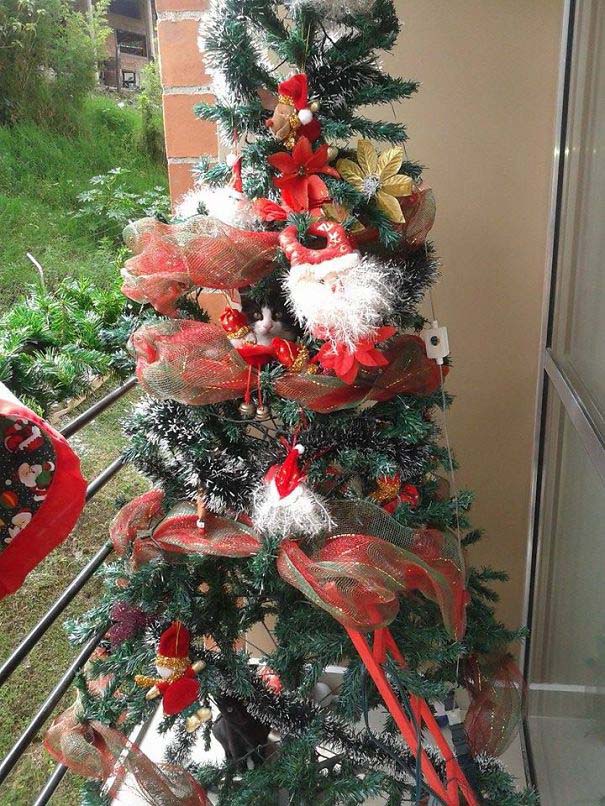Γάτες που «βοήθησαν» στο στόλισμα του χριστουγεννιάτικου δένδρου (25)