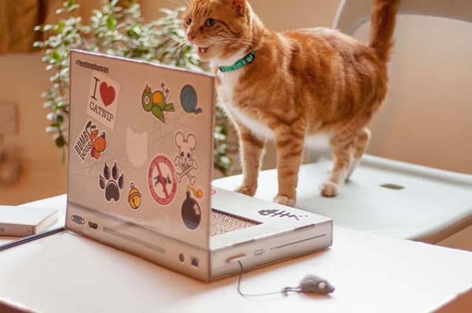 Ένα laptop ειδικά φτιαγμένο για γάτες (2)